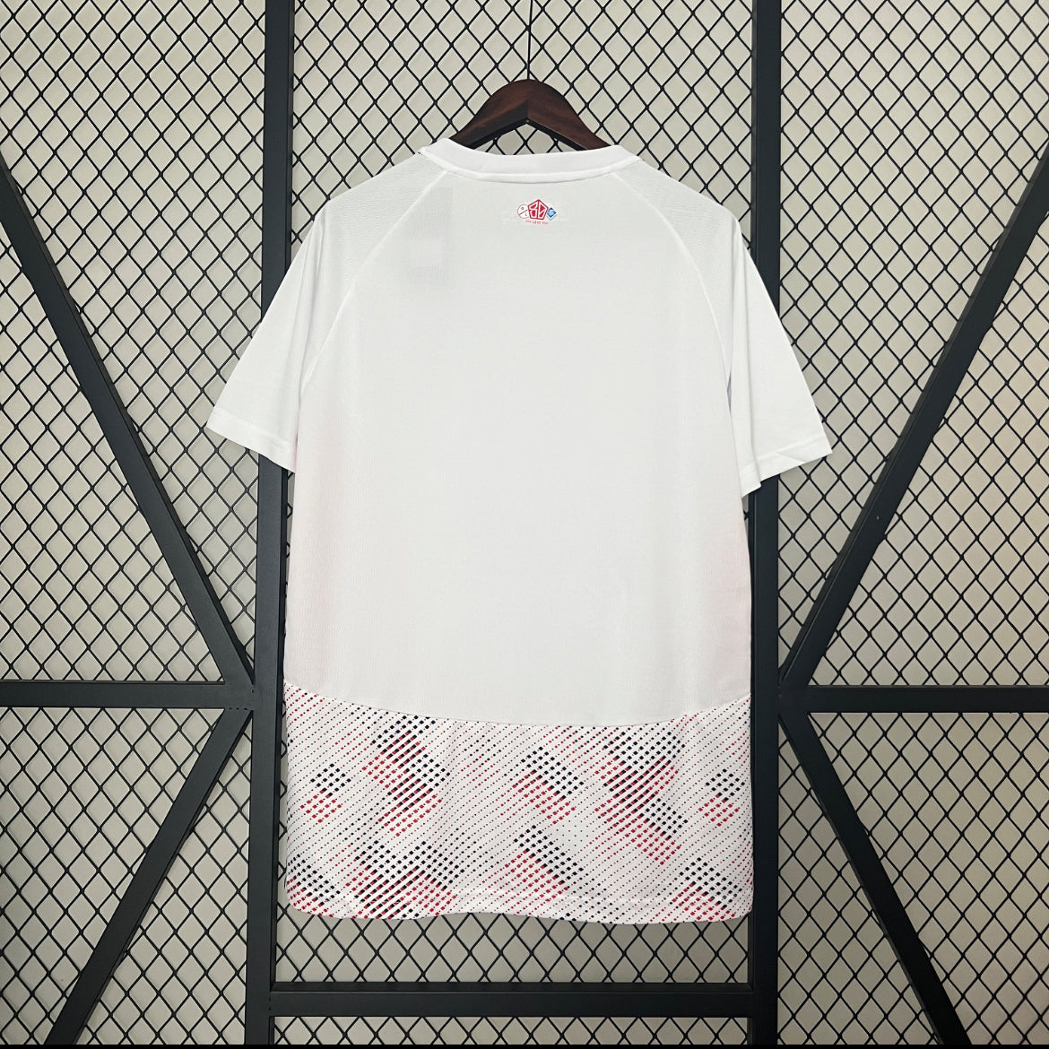 Maillot Lille 24-25 extérieur