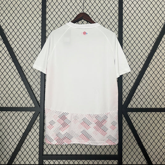 Maillot Lille 24-25 extérieur