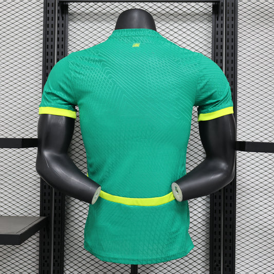 Maillot Sénégal 2025 special version player