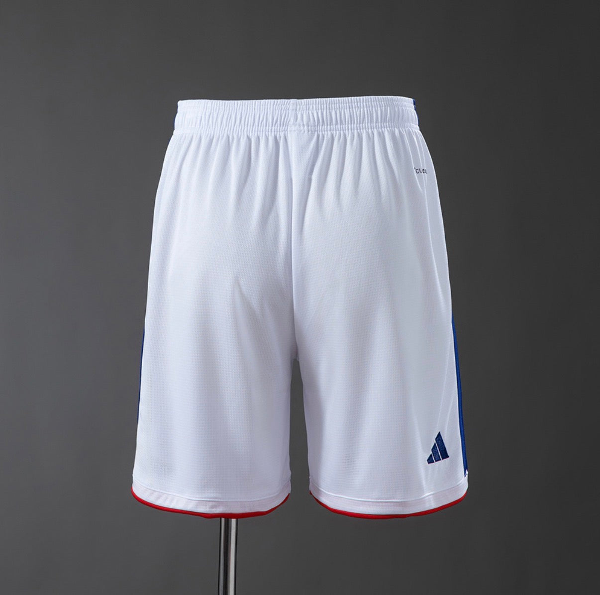 Short domicile Japon 2026