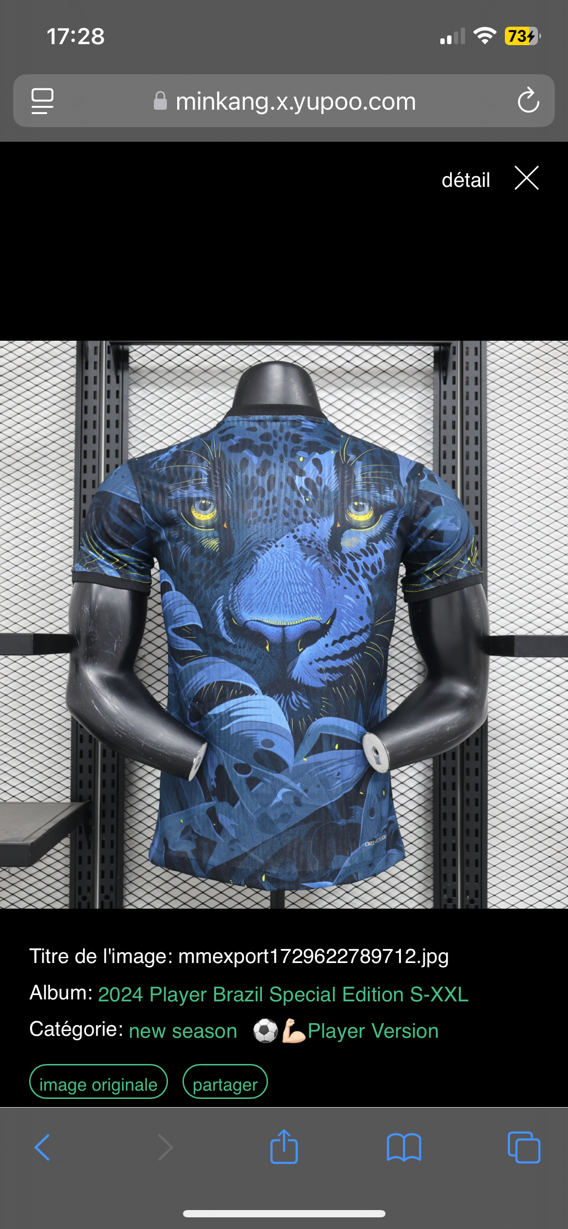 Maillot Brésil puma version player