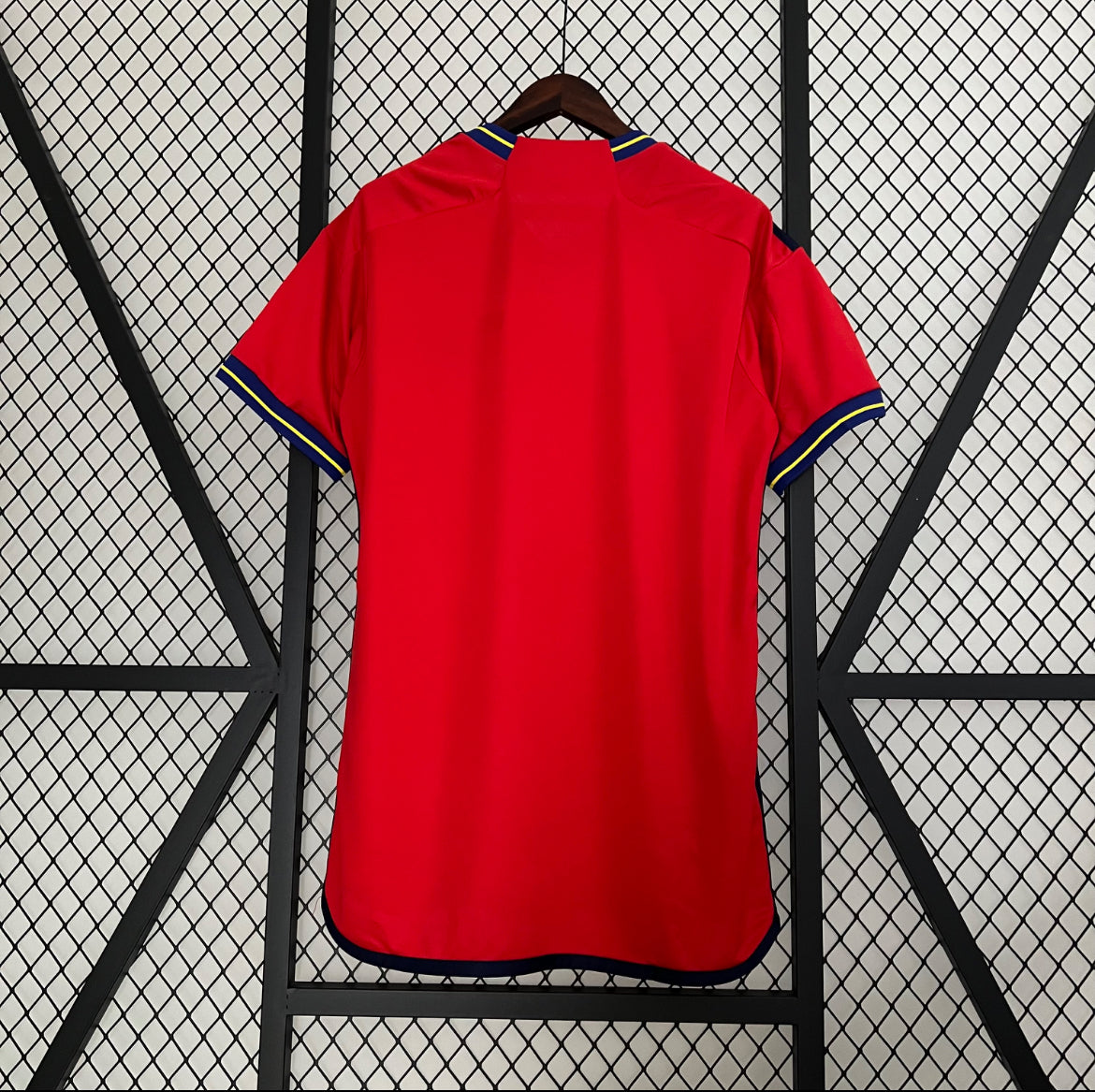 Maillot Espagne special
